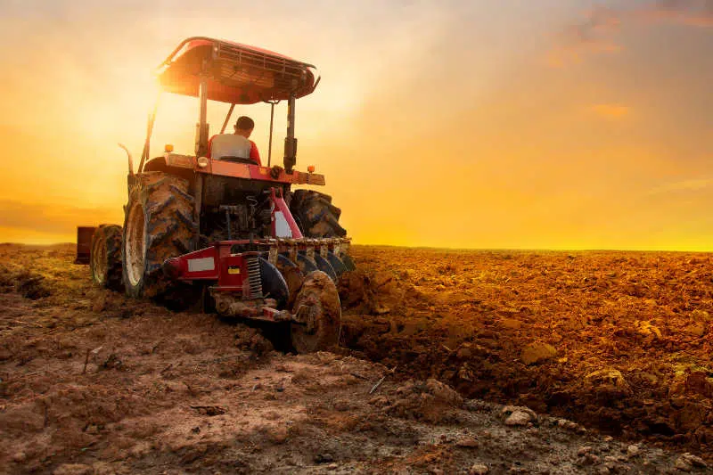 Agriculture Industry