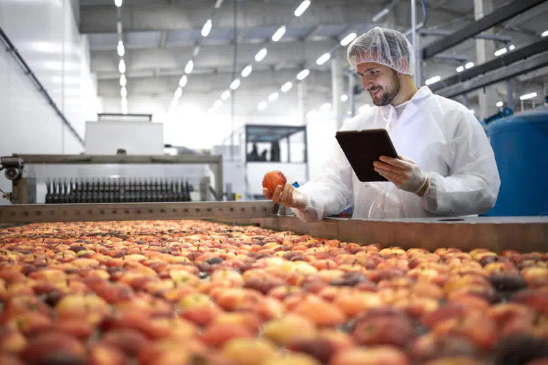 Food & Beverage Industry